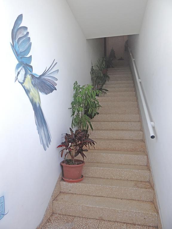 Apartamentos Dominguez Calera Luaran gambar